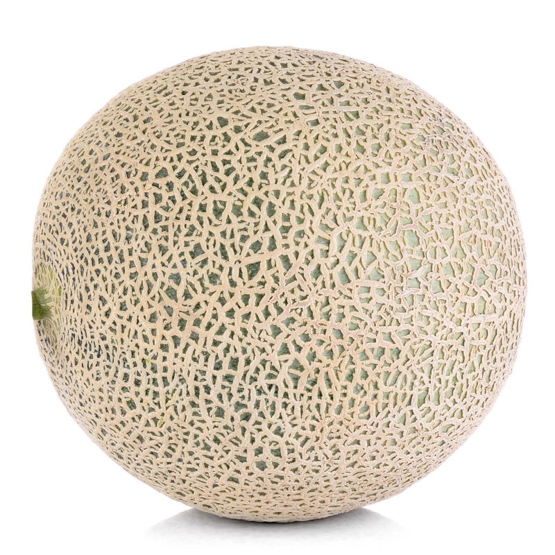 Cantaloupe